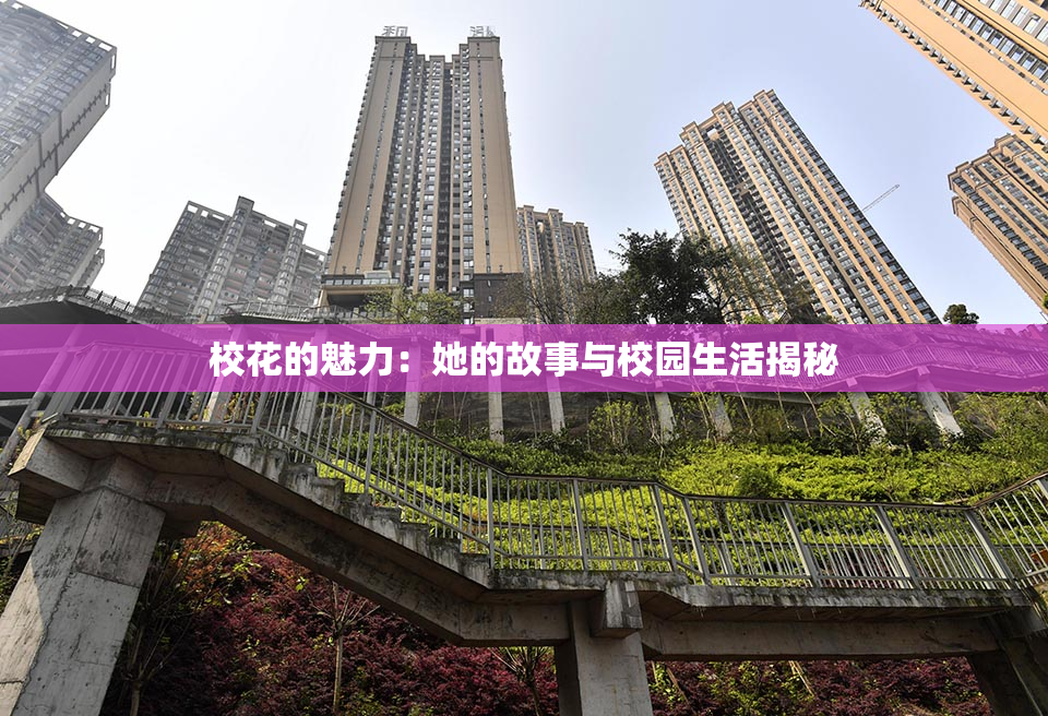 校花的魅力：她的故事与校园生活揭秘