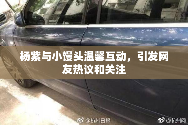 杨紫与小馒头温馨互动，引发网友热议和关注