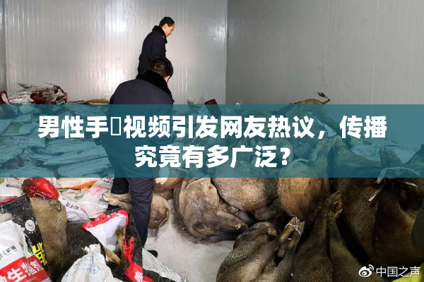 男性手婬视频引发网友热议，传播究竟有多广泛？