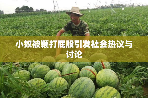 小奴被鞭打屁股引发社会热议与讨论