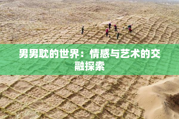 男男耽的世界：情感与艺术的交融探索