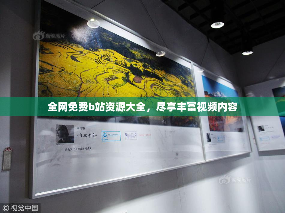 全网免费b站资源大全，尽享丰富视频内容