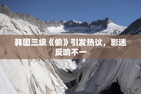 韩国三级《偷》引发热议，影迷反响不一