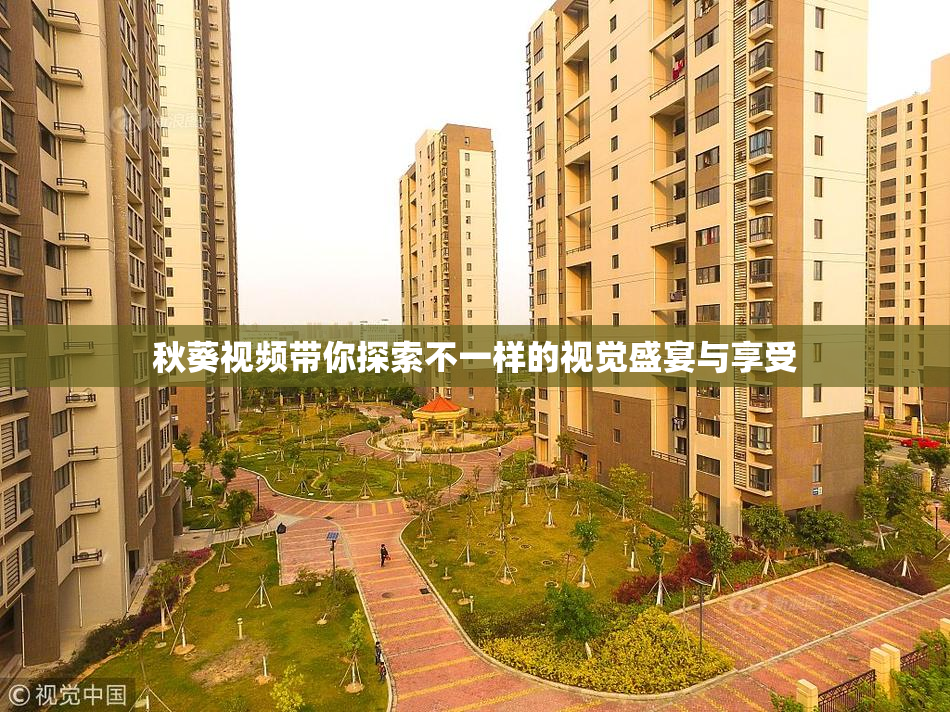 秋葵视频带你探索不一样的视觉盛宴与享受