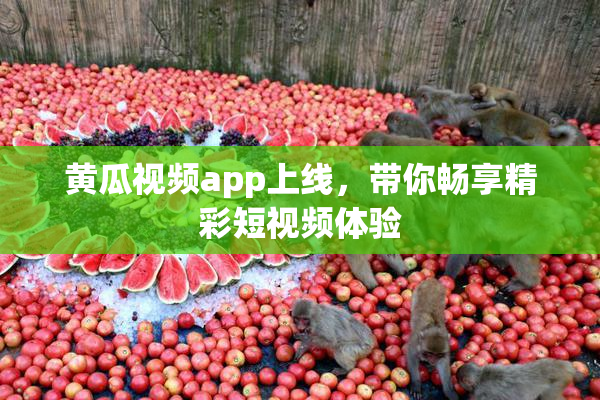 黄瓜视频app上线，带你畅享精彩短视频体验