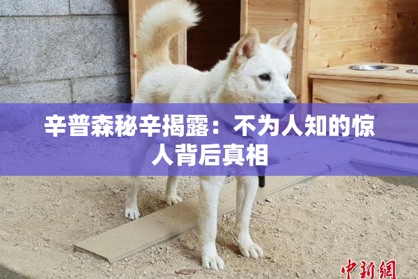 辛普森秘辛揭露：不为人知的惊人背后真相
