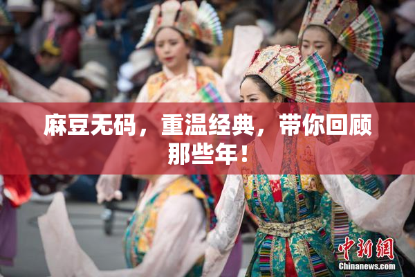麻豆无码，重温经典，带你回顾那些年！