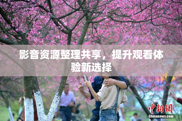 影音资源整理共享，提升观看体验新选择