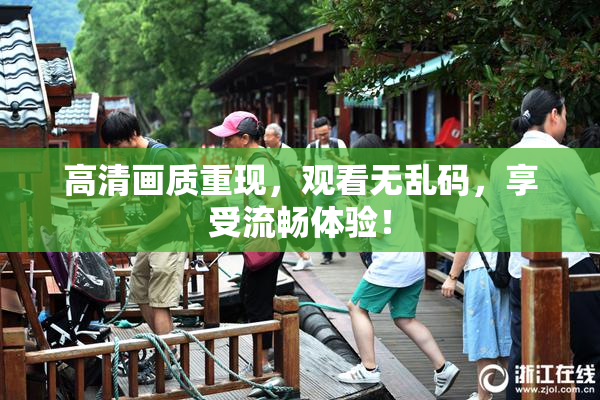 高清画质重现，观看无乱码，享受流畅体验！