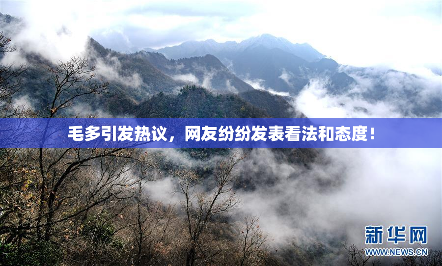 毛多引发热议，网友纷纷发表看法和态度！