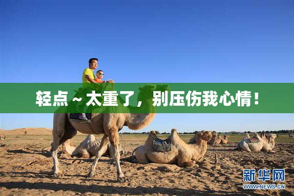 轻点～太重了，别压伤我心情！