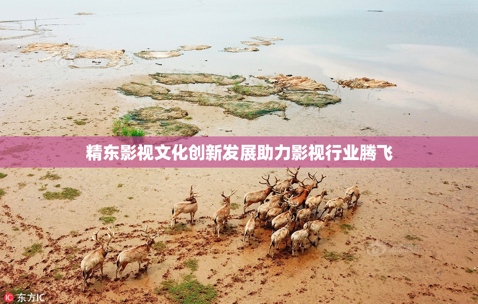 精东影视文化创新发展助力影视行业腾飞