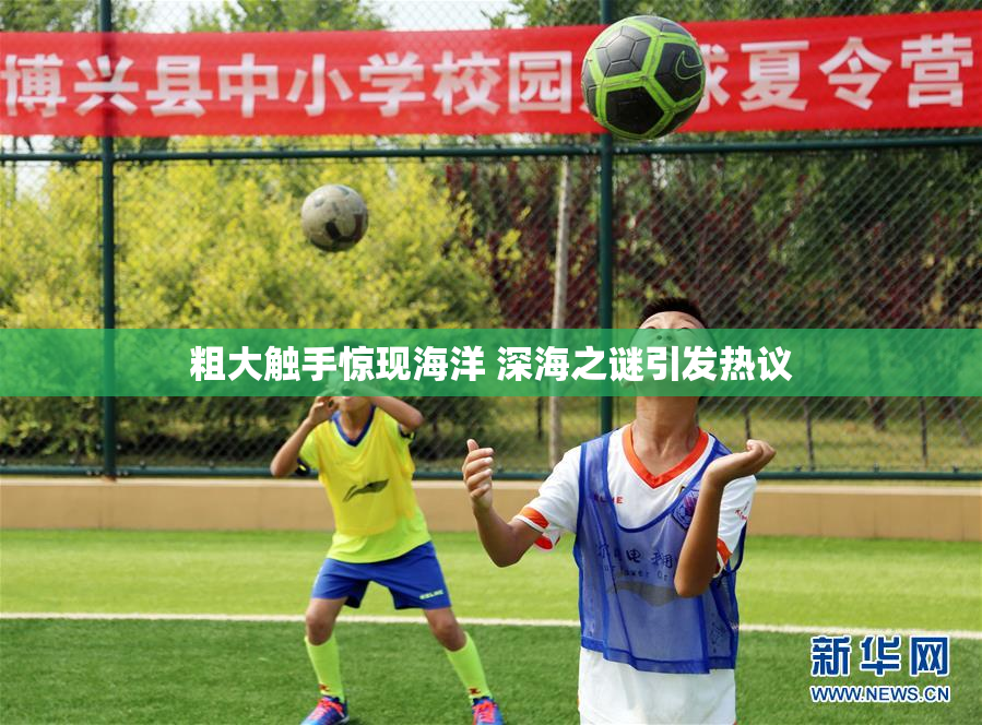 粗大触手惊现海洋 深海之谜引发热议