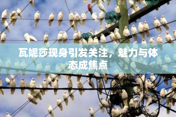 瓦妮莎现身引发关注，魅力与体态成焦点