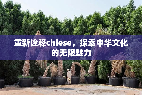 重新诠释chiese，探索中华文化的无限魅力