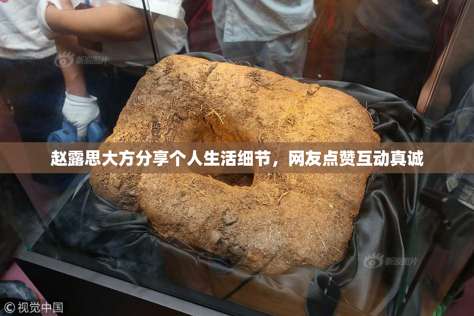 赵露思大方分享个人生活细节，网友点赞互动真诚