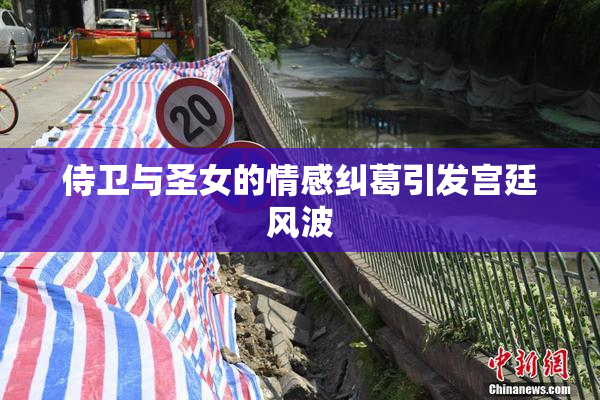 侍卫与圣女的情感纠葛引发宫廷风波