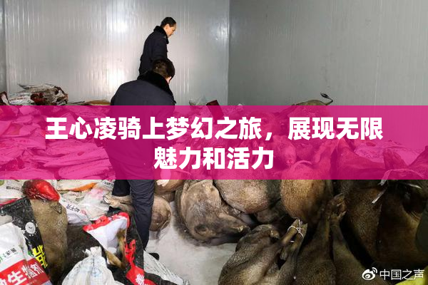 王心凌骑上梦幻之旅，展现无限魅力和活力