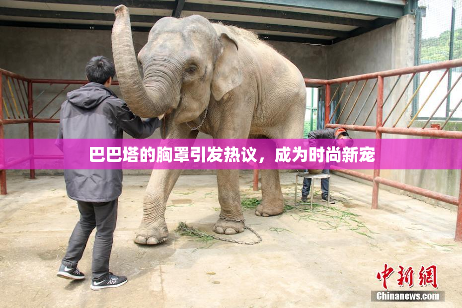 巴巴塔的胸罩引发热议，成为时尚新宠