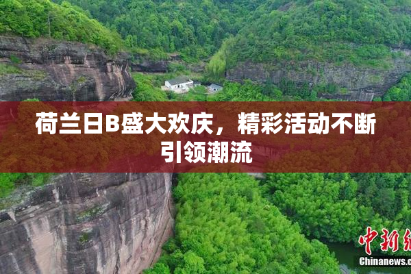 荷兰日B盛大欢庆，精彩活动不断引领潮流