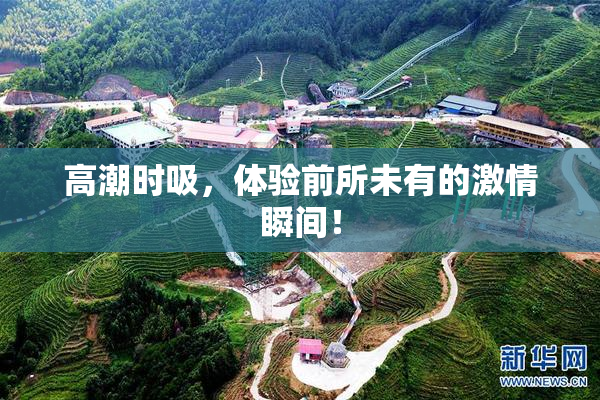 高潮时吸，体验前所未有的激情瞬间！