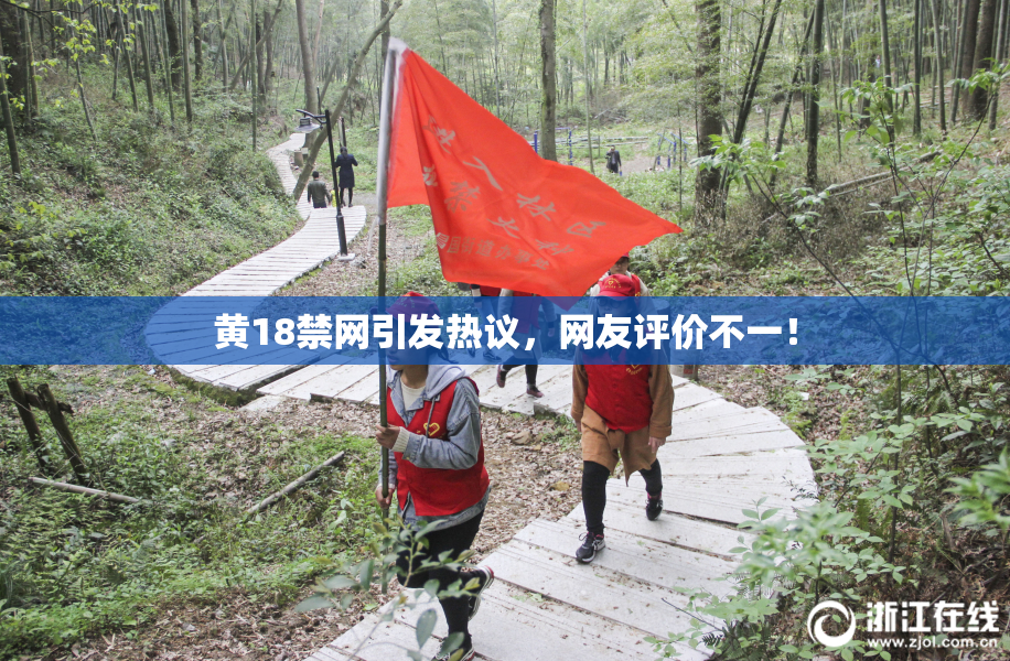 黄18禁网引发热议，网友评价不一！