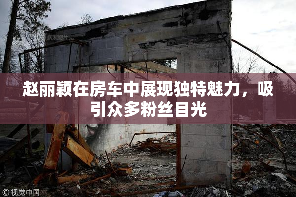 赵丽颖在房车中展现独特魅力，吸引众多粉丝目光