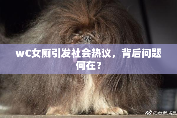 wC女厕引发社会热议，背后问题何在？