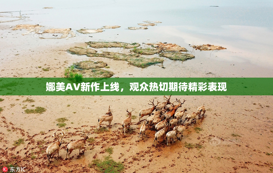 娜美AV新作上线，观众热切期待精彩表现