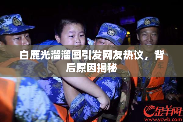 白鹿光溜溜图引发网友热议，背后原因揭秘