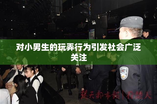 对小男生的玩弄行为引发社会广泛关注