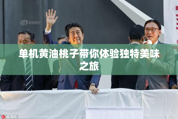 单机黄油桃子带你体验独特美味之旅