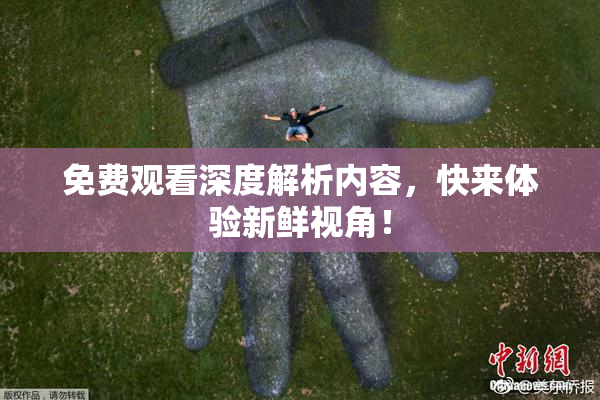 免费观看深度解析内容，快来体验新鲜视角！