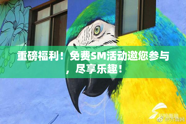 重磅福利！免费SM活动邀您参与，尽享乐趣！