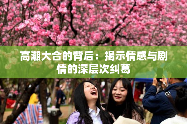 高潮大合的背后：揭示情感与剧情的深层次纠葛