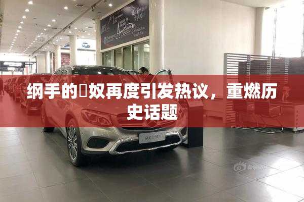 纲手的婬奴再度引发热议，重燃历史话题