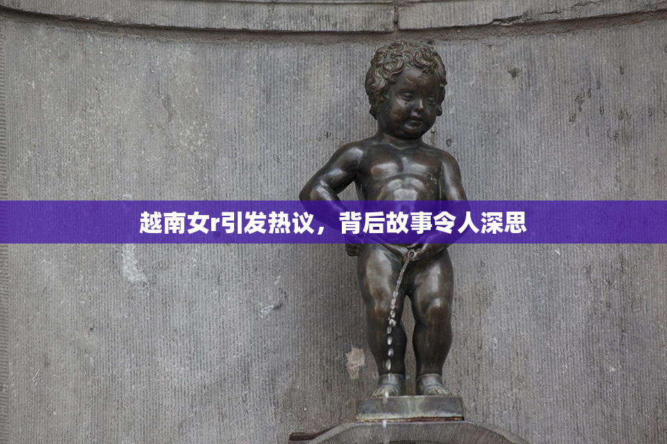 越南女r引发热议，背后故事令人深思