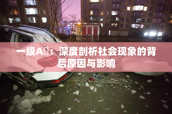 一级A婬：深度剖析社会现象的背后原因与影响