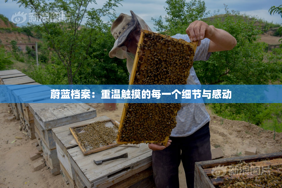 蔚蓝档案：重温触摸的每一个细节与感动