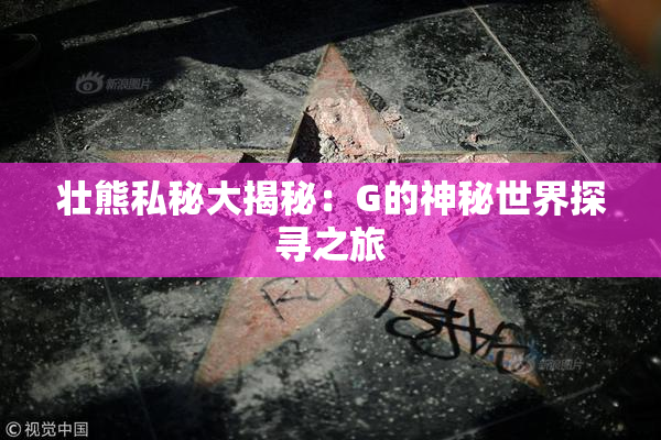 壮熊私秘大揭秘：G的神秘世界探寻之旅