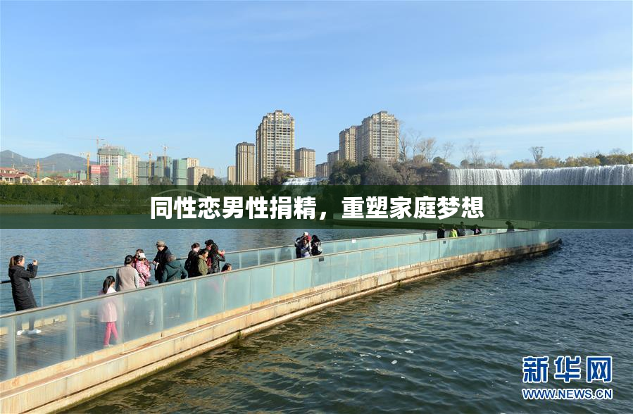 同性恋男性捐精，重塑家庭梦想