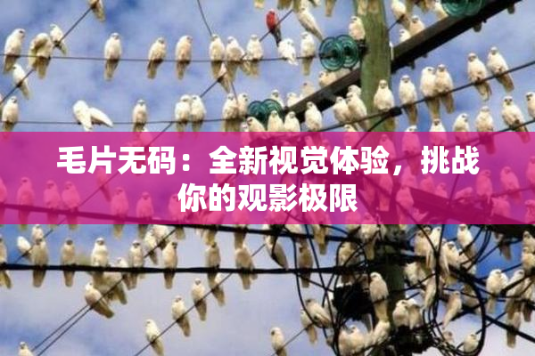 毛片无码：全新视觉体验，挑战你的观影极限