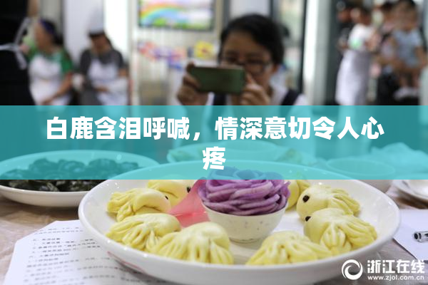 白鹿含泪呼喊，情深意切令人心疼