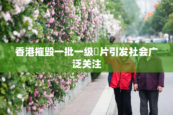 香港摧毁一批一级婬片引发社会广泛关注