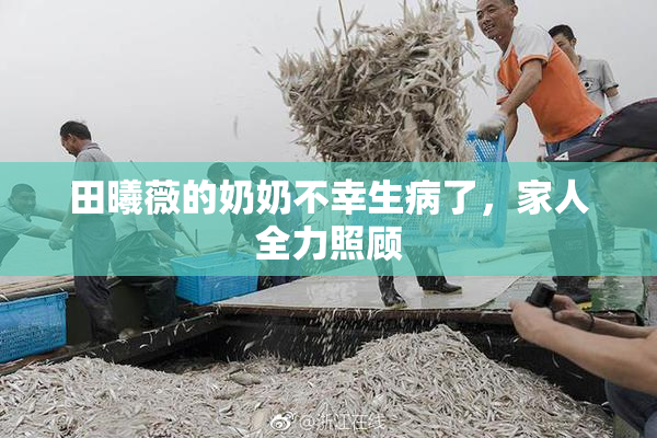 田曦薇的奶奶不幸生病了，家人全力照顾