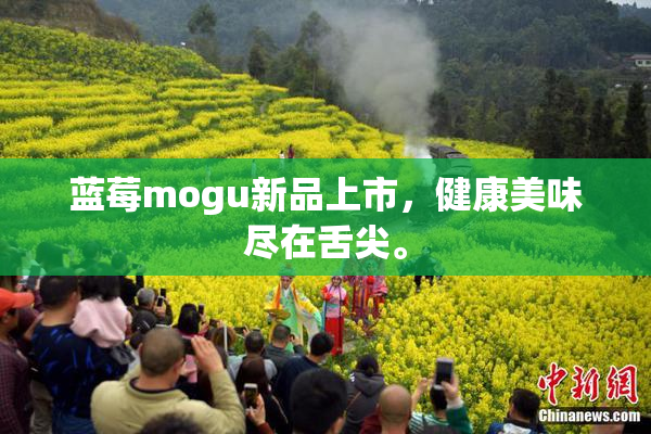 蓝莓mogu新品上市，健康美味尽在舌尖。