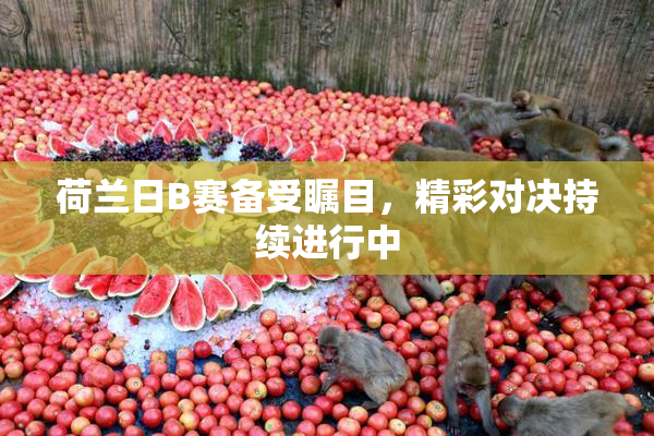 荷兰日B赛备受瞩目，精彩对决持续进行中
