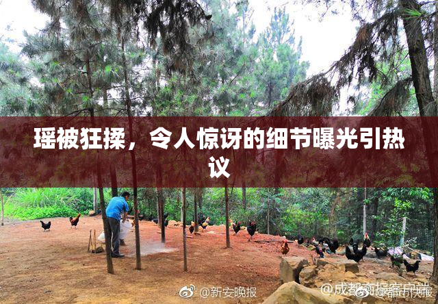 瑶被狂揉，令人惊讶的细节曝光引热议
