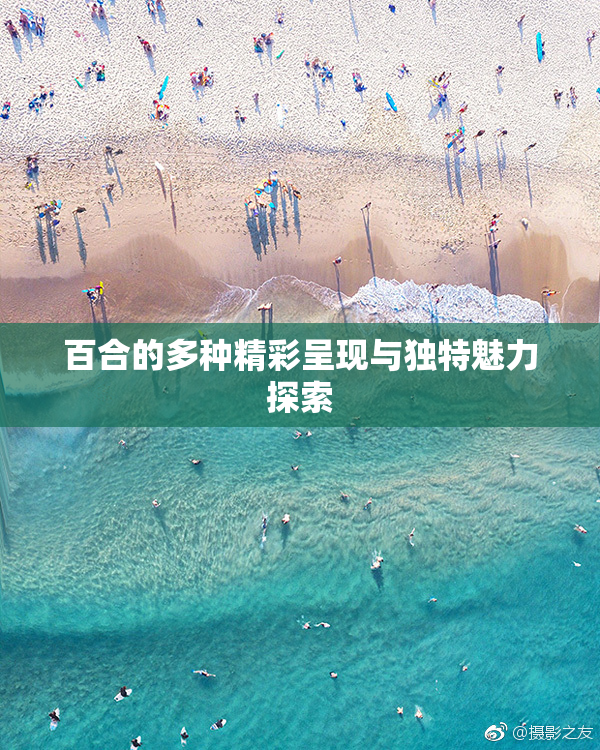 百合的多种精彩呈现与独特魅力探索