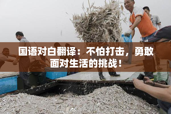 国语对白翻译：不怕打击，勇敢面对生活的挑战！